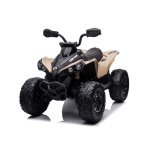 CAN-AM  ATV Quad Electric Vehicles Quad 7423432290239 DK-CA002 Kids Car Store