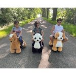 PetRide by ROLLZONE – Dog Electric Vehicles Electric Ride On Animal 7423418095032 RZPT-DG Kids Car Store