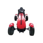 ROLLZONE Go-Kart (RZGK001)